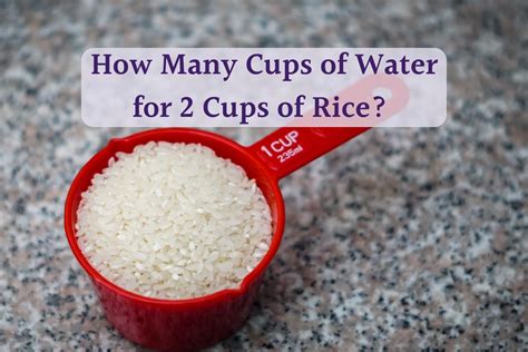 What is the ratio of water to brown rice?